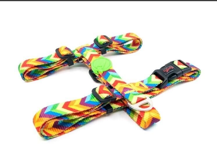 Tailpetz Rainbow Göğüs Tasmasi S