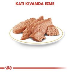 Royal Canin Yorkshire Yetişkin Köpek  Yaş Mama 85 GR