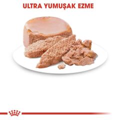 Royal Canin Baby Cat Instinctive Yavru Kedi Maması 195 Gr
