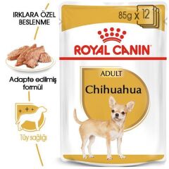 Chihuahua Yetişkin Köpek Yaş mama 85G.