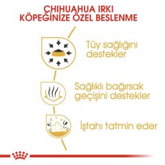 Chihuahua Yetişkin Köpek Yaş mama 85G.