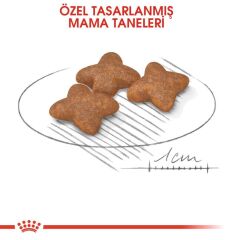 Royal Canin Mini Adult Köpek Maması 8 kg