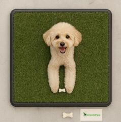 Greenpee Köpek Tuvaleti Çimli Büyük 40x60 cm