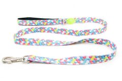 Tailpetz Cube Leash Köpek Gezdirme Tasması Medium