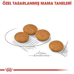 Royal Canin Mini Dermacomfort Köpek Maması 3 KG