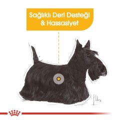 Royal Canin Mini Dermacomfort Köpek Maması 3 KG
