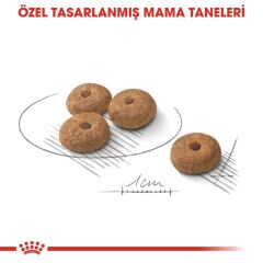 Royal Canin Mini Kısır Köpek Maması 3 KG