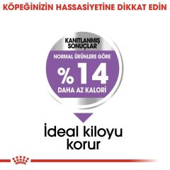 Royal Canin Mini Kısır Köpek Maması 3 KG