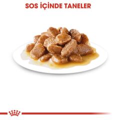 Royal Canin Gravy Ageing +12 Köpek Maması 85 Gr