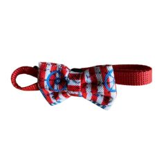 Minik Paw Kartela Gemi Dümeni Papyon
