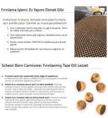 Schesir Born Carnivore Somonlu ve Ringa Balıklı Tahılsız Kedi Maması 255 Gr