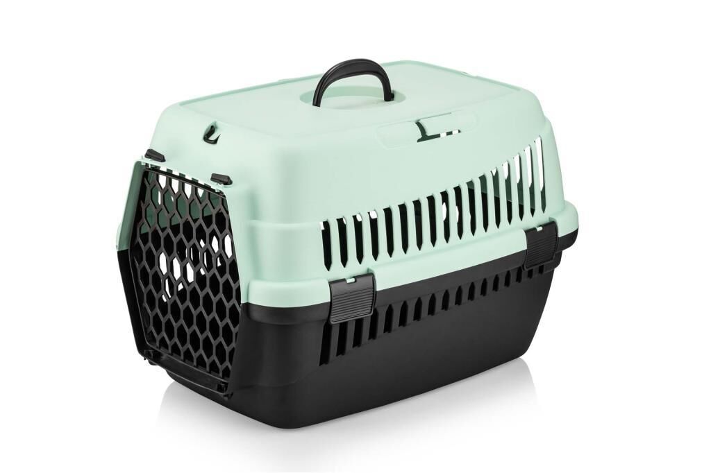 Şenyayla Kedi Köpek Plastik Taşıma Büyük Açık Yeşil