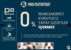 Pro Nutrition Prestige Adult Somonlu Yetişkin Köpek Maması 12Kg