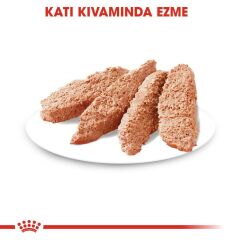 Royal Canin Sterilised Loaf Kısır Köpek Yaş Maması 85 Gr