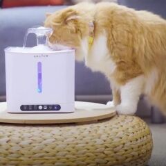 Aclium Sensörlü Kedi Su Sebili 2.4 Lt