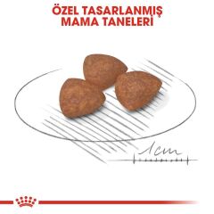 Royal Canin Mini İndoor Puppy Köpek Maması 1,5 kg