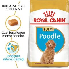 Royal Canin Poodle Puppy Köpek Maması 3 Kg