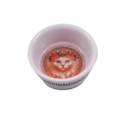 Raccoon Olimpos Serisi Afrodit  Kedi Seramik Mama ve Su Kabı300 ML