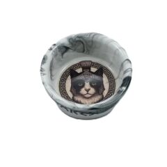 Raccoon Olimpos Serisi Ares Kedi Seramik Mama ve Su Kabı 300 Ml