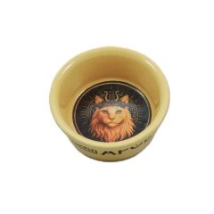 Raccoon Olimpos Serisi Apollon Kedi Seramik Mama ve Su Kabı 300 Ml