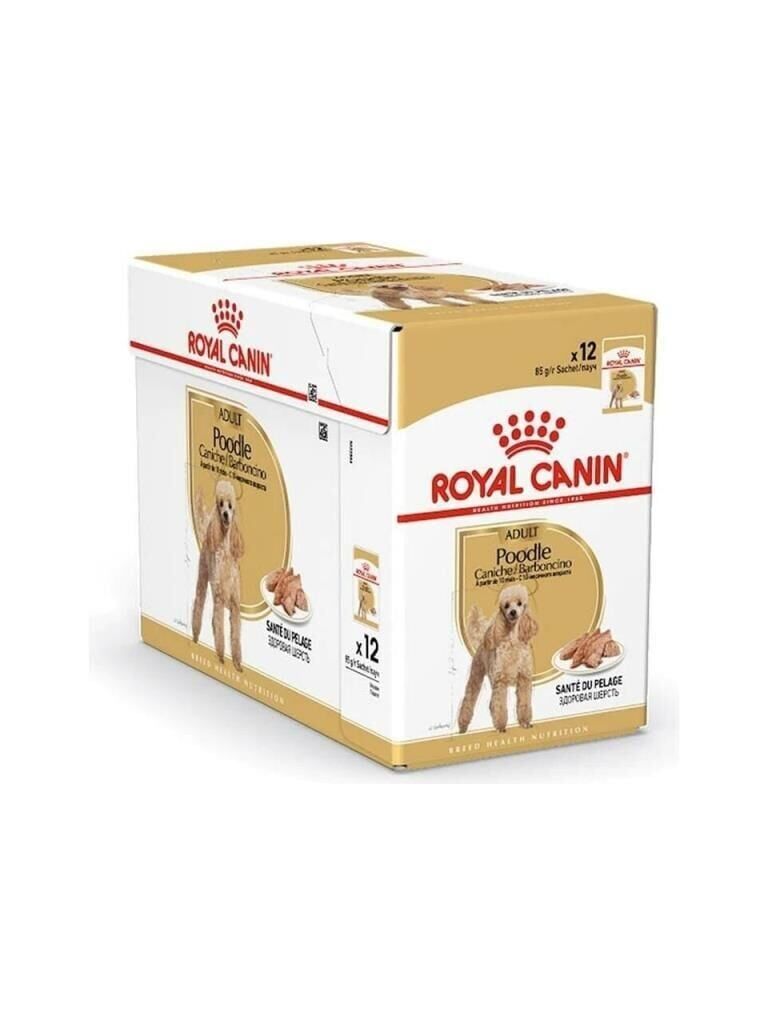 Royal Canin Poodle Yetişkin Pouch Yaş Köpek Maması 85 gr 12'li Paket