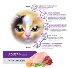 Petiva Yetişkin Kediler İçin Tavuk Etli Kuru Kedi Maması 7 Kg
