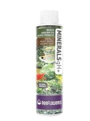 Reeflowers Minerals gH+ Akvaryum Su Düzenleyici 85 Ml MGP85