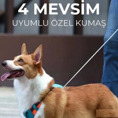 Hesperus Kendinden Gezdirmeli Çok Yönlü Uzatılabilir Köpek Göğüs Tasması (Yeni Nesil) X-LARGE