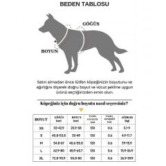 Hesperus Kendinden Gezdirmeli Çok Yönlü Uzatılabilir Köpek Göğüs Tasması (Yeni Nesil) MEDİUM
