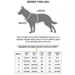 Hesperus Kendinden Gezdirmeli Çok Yönlü Uzatılabilir Köpek Göğüs Tasması (Yeni Nesil) SMALL