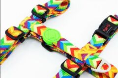 Tailpetz Rainbow Göğüs Tasmasi XS