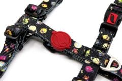 Tailpetz Space Göğüs Tasmasi ( Medium )