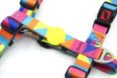 Tailpetz Spirit Göğüs Tasmasi ( Medium )