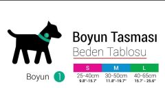 Tailpetz Rainbow Boyun Tasması M