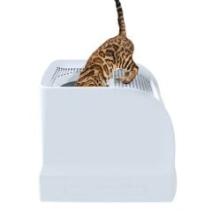 Imac Frida Çekmeceli Kedi Tuvaleti Yeşil
