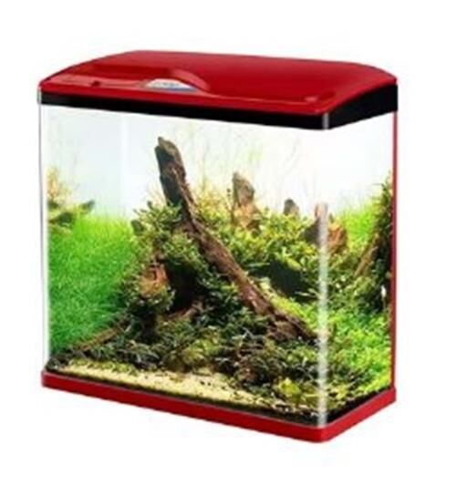 Sobo Komple Akvaryum 30x19x33,5 Cm Kirmizi