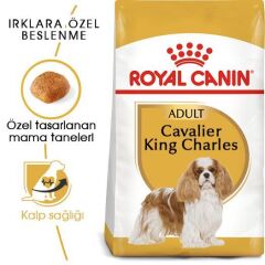 Royal Canin Cavalier King Charles  Yetişkin Köpek Maması 1,5 kg