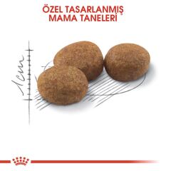 Royal Canin Sterilised Kısırlaştırılmış Kedi Maması 2 Kg