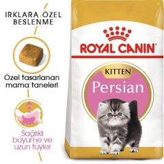 Royal Canin Kitten Persian Yavru Kedi Maması 2 kg