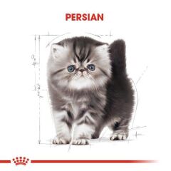 Royal Canin Kitten Persian Yavru Kedi Maması 2 kg