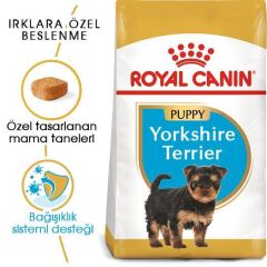 Royal Canin Yorkshire Terrier  Yavru köpek Maması 1,5 kg