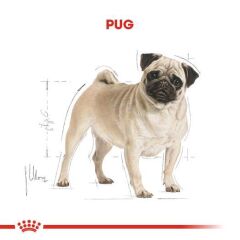 Royal Canin Pug  Irkı Özel Köpek Maması 1,5 kg