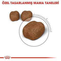 Royal Canin Oral Care Kedi Maması 1,5 Kg