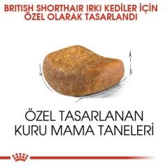 Royal Canin British Shorthair Yetişkin Kedi Maması 10 kg