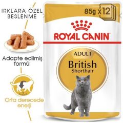Royal Canin Kitten British Shorthair Yavru Kedi Maması 2 kg