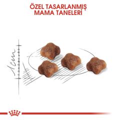 Royal Canin Mother BabyCat  Yavru Kuru Kedi Maması 4 Kg
