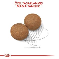 Royal Canin Maxi Adult Köpek Maması 15 kg