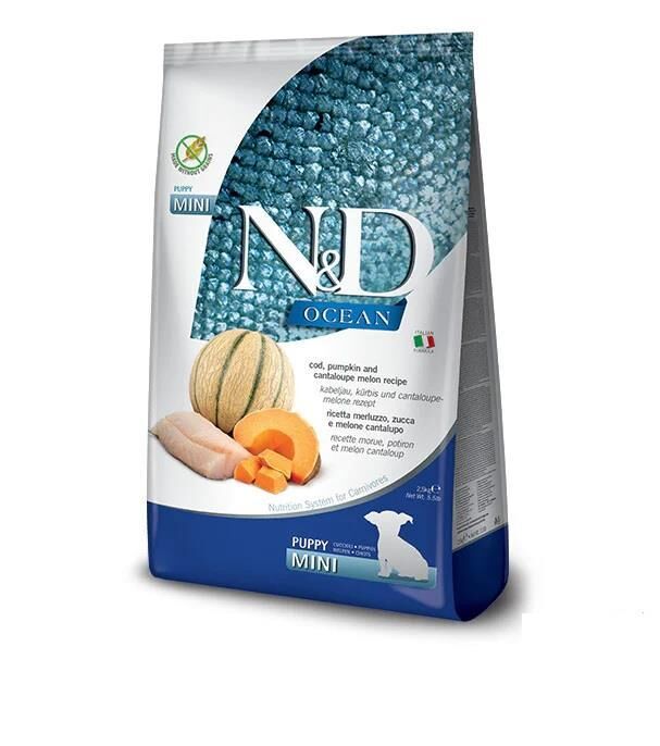 ND Ocean Morina Balıklı Balkabaklı Mini Yavru Köpek Maması 2,5 Kg