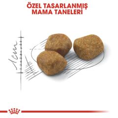 Royal Canin Indoor 7+ Yaşlı Kuru Kedi Maması 3,5 Kg