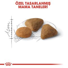 Royal Canin Savour Exigent  Kuru Kedi Maması 4 Kg
